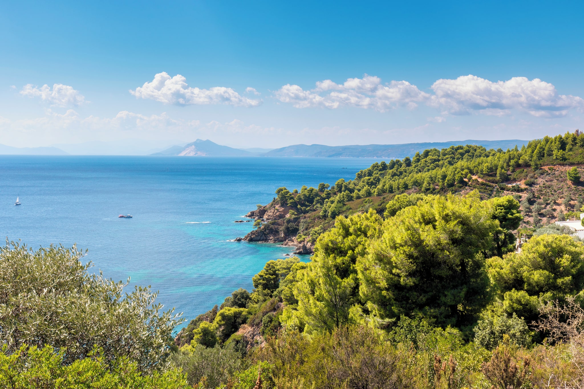 Punta Holidays & Best Packages 2025/2025 Punta Hotels Jet2holidays